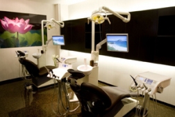 今後の期待と評価