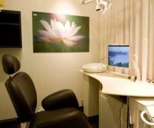 今後の期待と評価